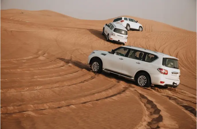Dubai vs Desert Safari Abu Dhabi: What To Choose