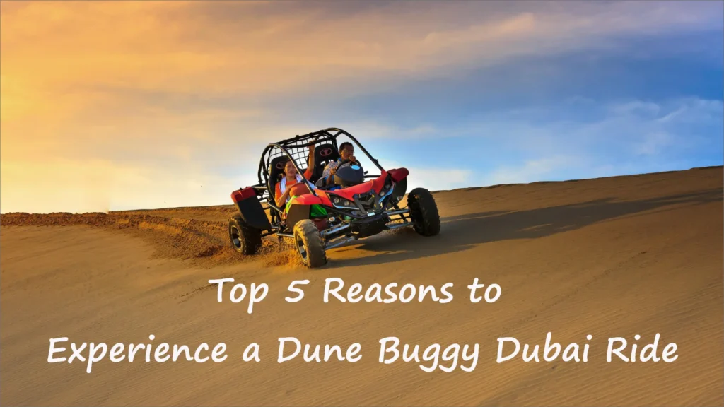 dune buggy adventures experience