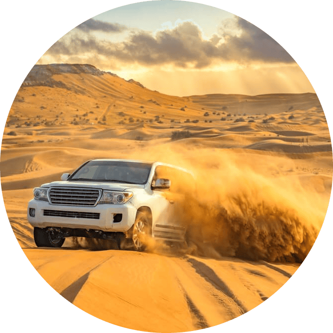 Desert Safari